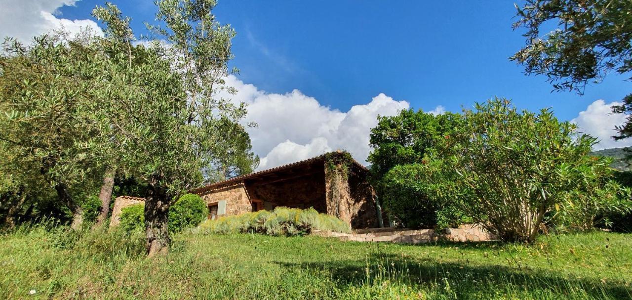 Domaine Codaleone Serriera  Exterior photo