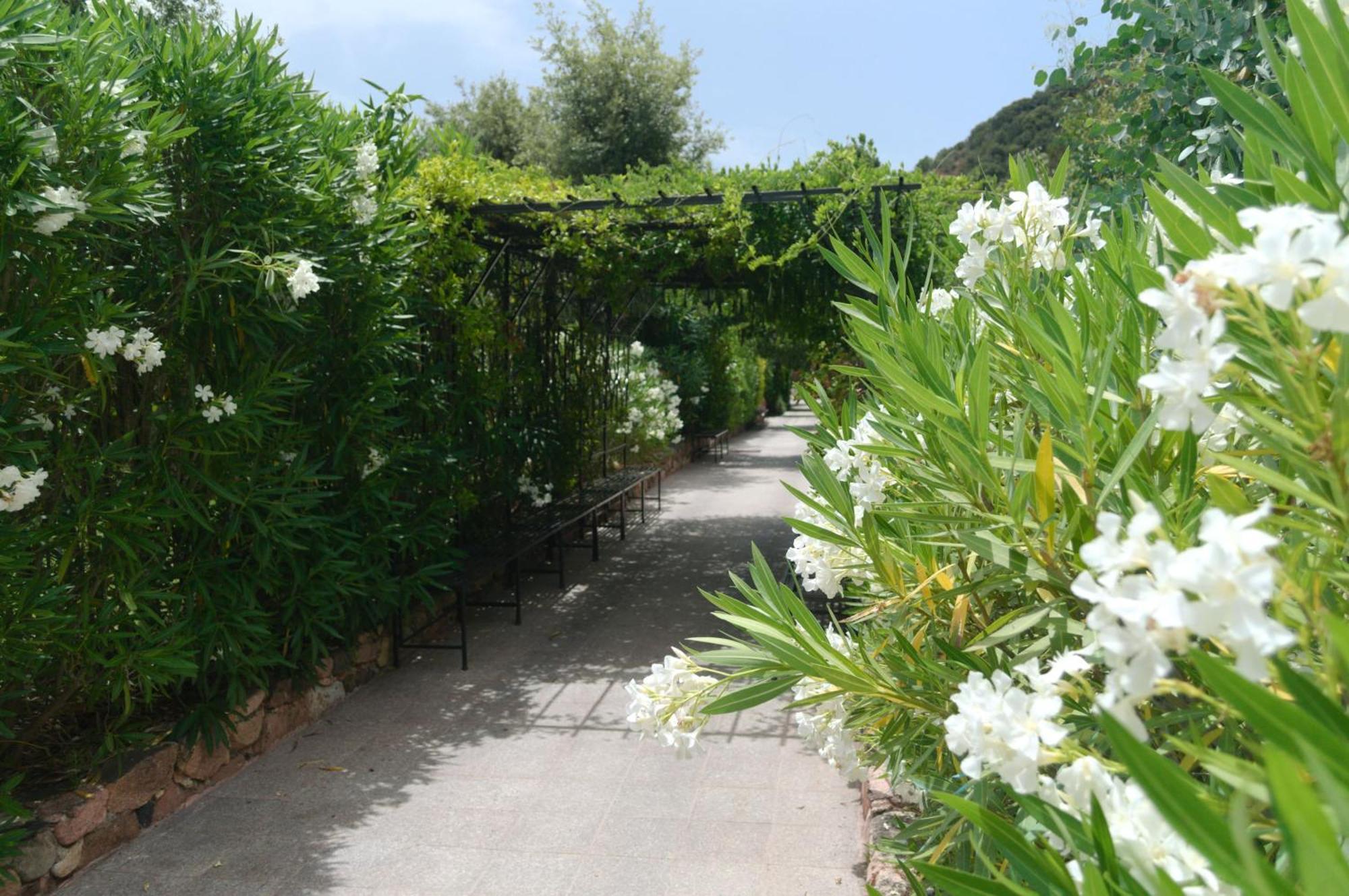 Domaine Codaleone Serriera  Room photo